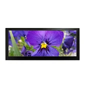 commercial display